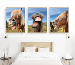 Load image into Gallery viewer, Icelandic Pony I, II & III Triptych