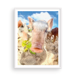 Load image into Gallery viewer, Sandy Pig