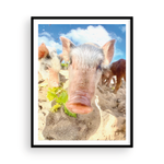 Load image into Gallery viewer, Sandy Pig