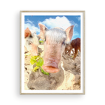 Load image into Gallery viewer, Sandy Pig