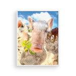 Load image into Gallery viewer, Sandy Pig