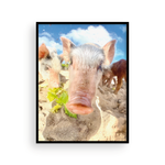 Load image into Gallery viewer, Sandy Pig
