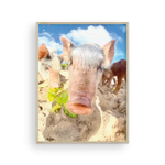Load image into Gallery viewer, Sandy Pig