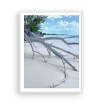 Load image into Gallery viewer, Shore Branches II