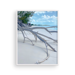 Load image into Gallery viewer, Shore Branches II