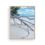 Load image into Gallery viewer, Shore Branches II