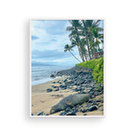 Load image into Gallery viewer, Snoozing Maui Monk Seal
