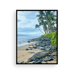 Load image into Gallery viewer, Snoozing Maui Monk Seal