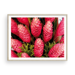 Load image into Gallery viewer, Torch Ginger