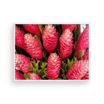 Load image into Gallery viewer, Torch Ginger