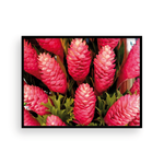 Load image into Gallery viewer, Torch Ginger