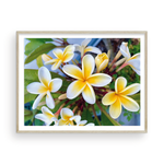 Load image into Gallery viewer, Yellow Plumeria