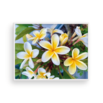 Load image into Gallery viewer, Yellow Plumeria