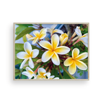 Load image into Gallery viewer, Yellow Plumeria