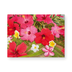Load image into Gallery viewer, Maui Card Collection