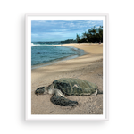 Load image into Gallery viewer, Maui Turtle Checking the Surf I