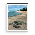 Load image into Gallery viewer, Maui Turtle Checking the Surf I