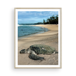 Load image into Gallery viewer, Maui Turtle Checking the Surf I