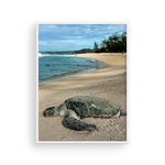 Load image into Gallery viewer, Maui Turtle Checking the Surf I