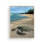 Load image into Gallery viewer, Maui Turtle Checking the Surf I