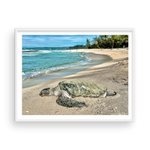 Load image into Gallery viewer, Maui Turtle Checking the Surf II
