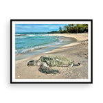 Load image into Gallery viewer, Maui Turtle Checking the Surf II