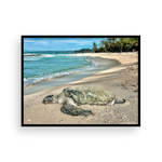 Load image into Gallery viewer, Maui Turtle Checking the Surf II