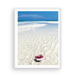 Load image into Gallery viewer, Bahamian Conch I
