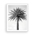 Load image into Gallery viewer, Black and White Bay Island Palm
