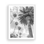 Load image into Gallery viewer, Catalina Palm II
