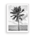 Load image into Gallery viewer, Black and White Tahitian Palm
