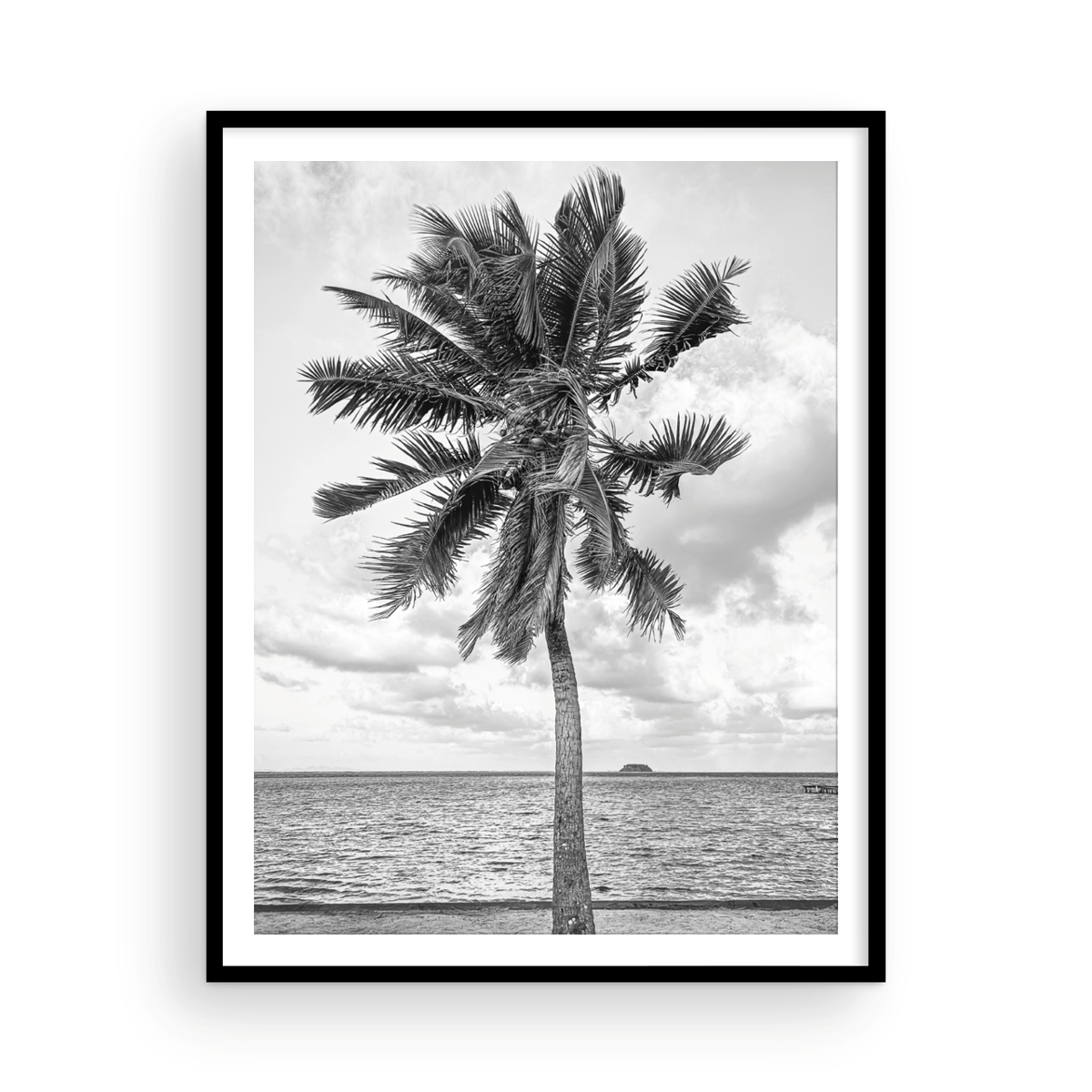 Black and White Tahitian Palm