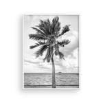 Load image into Gallery viewer, Black and White Tahitian Palm
