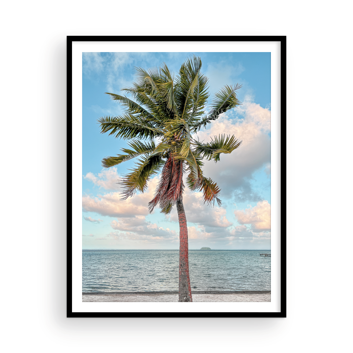 Color Tahitian Palm