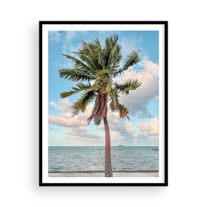Color Tahitian Palm