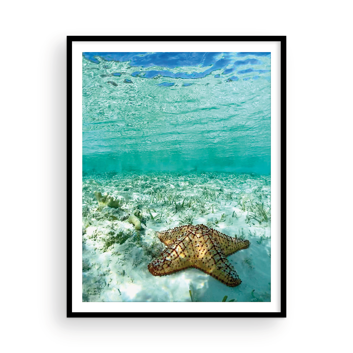 Happy Bahamian Starfish