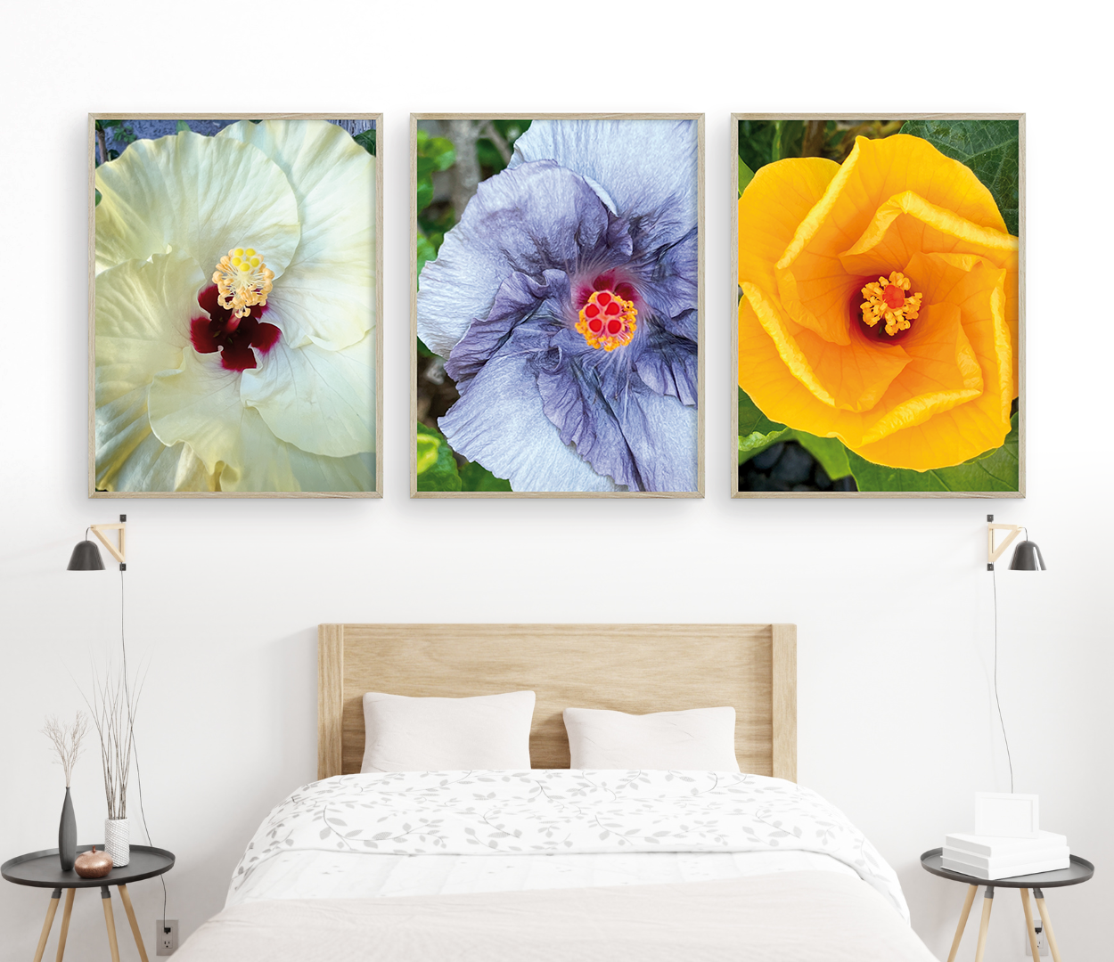 Hibiscus Triptych