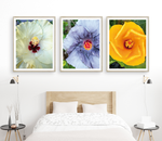 Load image into Gallery viewer, Hibiscus Triptych

