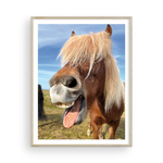 Load image into Gallery viewer, Icelandic Pony I
