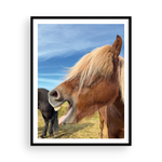 Load image into Gallery viewer, Icelandic Pony III
