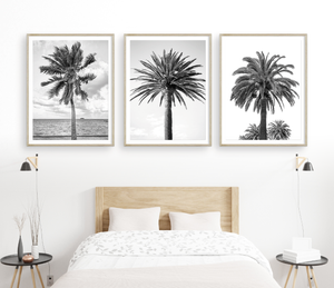 Three Palms Triptych