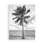 Load image into Gallery viewer, Palm Tree Collection
