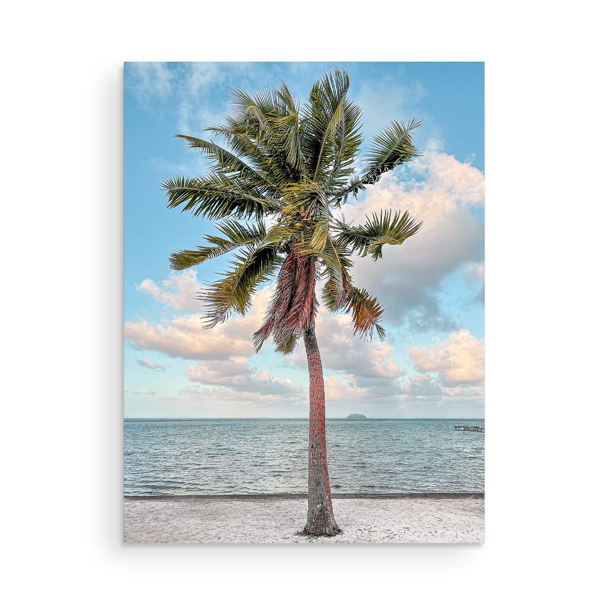 Colored Tahitian Palm