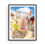Load image into Gallery viewer, Sandy Pig
