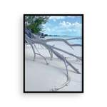 Load image into Gallery viewer, Shore Branches II

