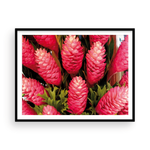 Load image into Gallery viewer, Torch Ginger
