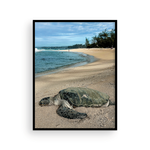 Load image into Gallery viewer, Maui Turtle Checking the Surf I
