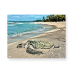Load image into Gallery viewer, Maui Card Collection
